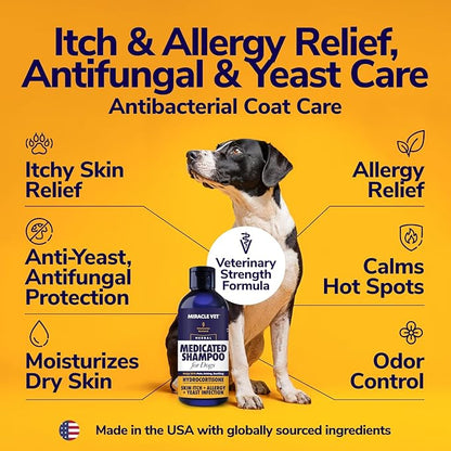 Miracle Vet Medicated Dog Shampoo for Itchy Skin Relief - Dog Allergy Relief, Yeast Infection, Hot Spot & Dry Skin Anti-Itch Treatment, Antifungal for Dogs - Hydrocortisone (16 oz)