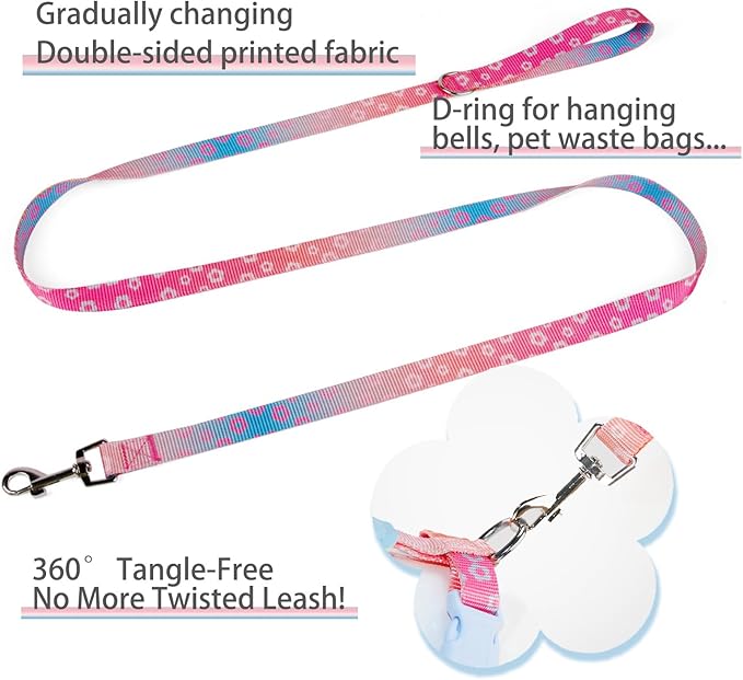 Small Durable Dog Harness with Leash Set, Cute Mesh Puppy Harness, No Pull No Choke Escape Proof Pet Harness Easy Walking, Blue Crush S