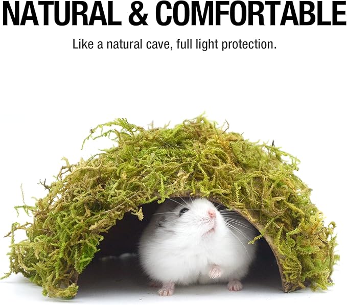 SanmooAio Hamster Hideaway/Hideout,Mossy Cave Hide,Hamster House/Hides,Hamster Cage Accessories for Gguinea Pig/Hedgehogs/Gliders/Rats/Mice and Other Small Animals (Small)