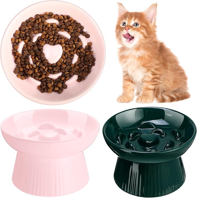 Tioncy 2 Pcs Raised Cat Slow Feeder Bowl Ceramic Elevated Cat Dog Food Bowl No Spill High Edge for Dry Wet Food and Water Easy to Clean, Dishwasher Safe(Pink, Dark Green)