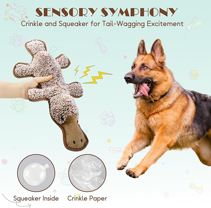 No Stuffing Dog Squeak Toys- Chew Toys for Small Medium Large Breed- Durable Puppy Teething Interactive to Keep Them Busy- Best Birthday Gift(Platypus)