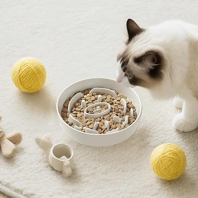 Ceramic Dog Slow Feeder Bowl - Small Dog Food Dish with Maze Puzzle Design - Slow Eating Puzzle Feeder for Pet Feed & Food Control - Whisker-Friendly Bowl for Cat Feeding - 6.3 Inch - 180 g - White