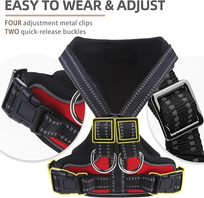 PUPTECK Dog Harness and Leash Set Small Sized, Adjustable Reflective Escape Proof Puppy Vest, No Pull Walking Harness Easy Control