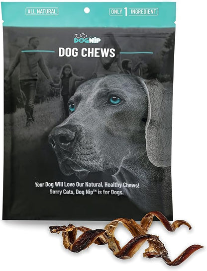 Dog Nip! 6-Inch Pork Spring Bully Sticks (12 Pack) for Dogs or Puppies - All Natural Porky Spring Bully Pizzle Bone - Best Chew Dental Treats for Small and Medium Breeds