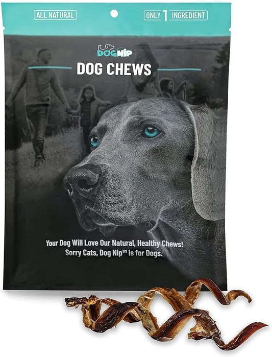 Dog Nip! 6-Inch Pork Spring Bully Sticks (12 Pack) for Dogs or Puppies - All Natural Porky Spring Bully Pizzle Bone - Best Chew Dental Treats for Small and Medium Breeds