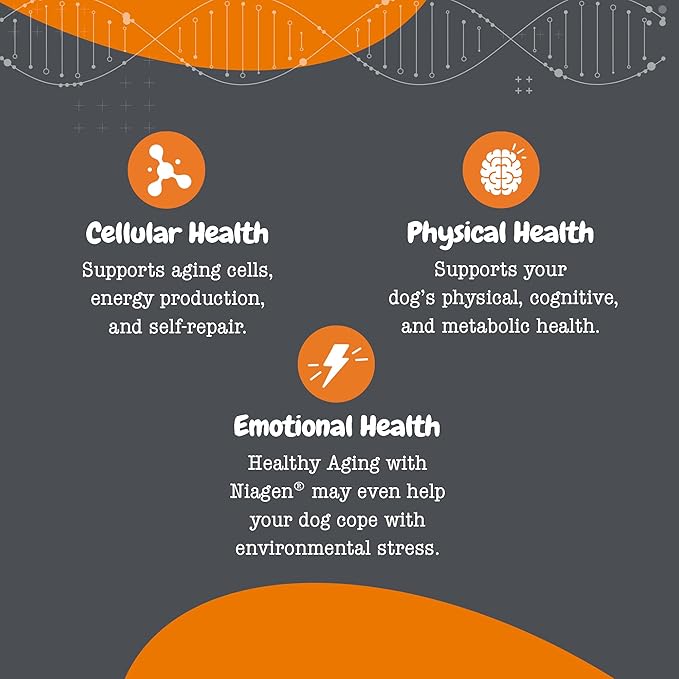 Zesty Paws NAD+ Precursor Supplement for Dogs - Niagen for Healthy Aging & Skeletal Muscle Support & Recovery - Brain, Heart, & Cellular Energy Support - Nicotinamide Riboside Chloride – 30 Sachets