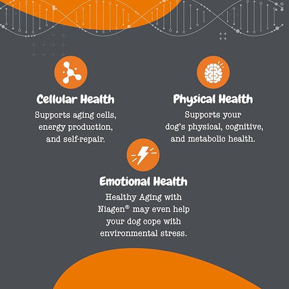 Zesty Paws NAD+ Precursor Supplement for Dogs - Niagen for Healthy Aging & Skeletal Muscle Support & Recovery - Brain, Heart, & Cellular Energy Support - Nicotinamide Riboside Chloride - 60 Capsules