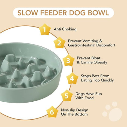 Ceramic 3.2 Cup Raised Slow Feeder Dog Bowl Set, Elevated 8.2inch Bowl and 9.5inch Slow Pet Food Dish with Wooden Stand for Large Dog (2 x Light Green+ Stand)