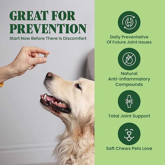 Green Lipped Mussel for Dogs & Cats - 60 Soft Chews - New Zealand Green Lipped Mussels - Natural Hip & Joint Supplement for Joints, Tendons, Ligaments, Muscles