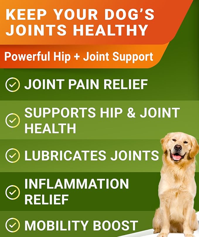 Glucosamine Treats for Dogs - Joint Supplement w/Omega-3 Fish Oil - Chondroitin, MSM - Advanced Mobility Chews - Joint Pain Relief - Hip & Joint Care - Hickory Bacon Flavor - 120 Ct - Made in USA