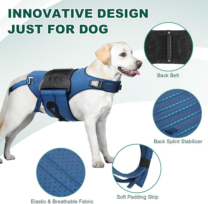 Dog Back Brace for IVDD, Arthritis, Slipped and Herniated Discs – Provides Back Support and Pain Relief, Stabilizes Spine for Surgical Recovery and Mobility, Dogs Back Disease Prevention(Blue,XL)
