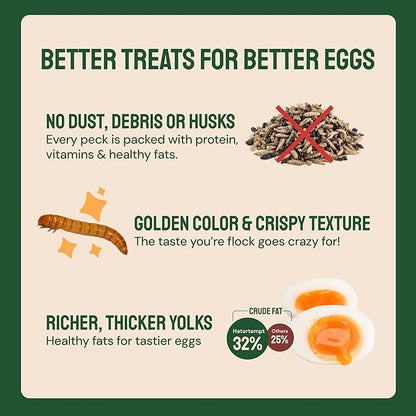 Hatortempt Bulk Dried Mealworms - 10 Lb Bag - Non-GMO Dried Mealworms for Chickens, Ducks & Wild Birds - High-Protein Chicken Feed & Bird Food