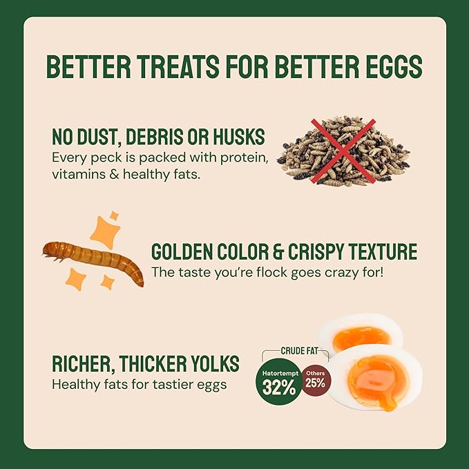 Hatortempt Dried Mealworms - High Protein Chicken Feed Supplement - Mealworms for Wild Birds & Chickens & Turtles (2lb Bag)