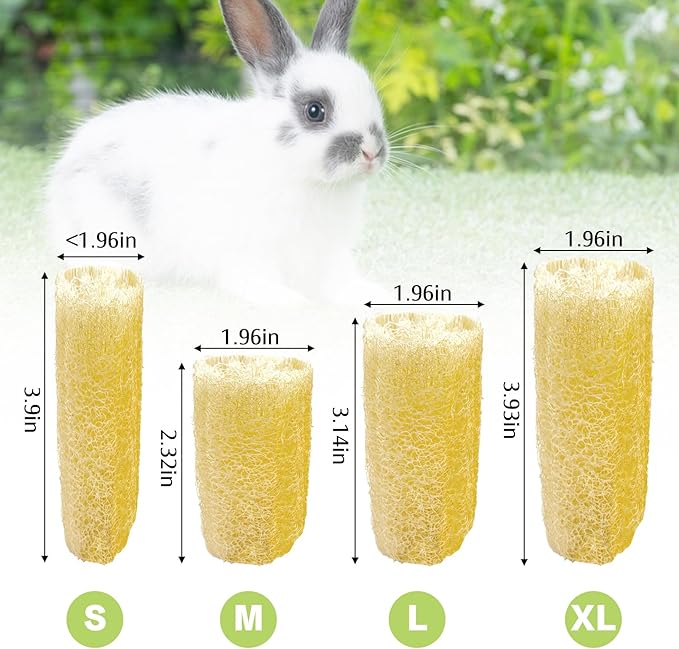 BNOSDM Bunny Chew Toys Natural Loofah 6PCS Bunny Teeth Grinding Toy Rabbit Fiber-Rich Treats Pet Entertainment Accessories for Rabbits Chinchillas Guinea Pig（L）