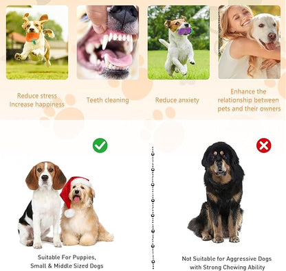 MRSOHRET Squeaky Dog Toys, 15Pcs Small Plush Puppy Toy, Dog Toys to Keep Them Busy, Interactive Squeak Stuffed Toys for Small Medium Dogs with Basket, Reduce Boredom and Teeth Cleaning