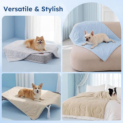 ZOMISIA Cooling Blanket for Small Dogs - High Cold Washable Cat Blanket, Travel Soft Pet Summer Essentials, Blue, 25"x35"