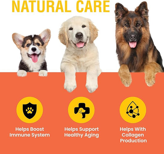 Vitamin C for Dogs, Helps Support Immune System, Vitamin C Liquid Supplement, Dog Immune Booster, Bacon Flavored, 2oz