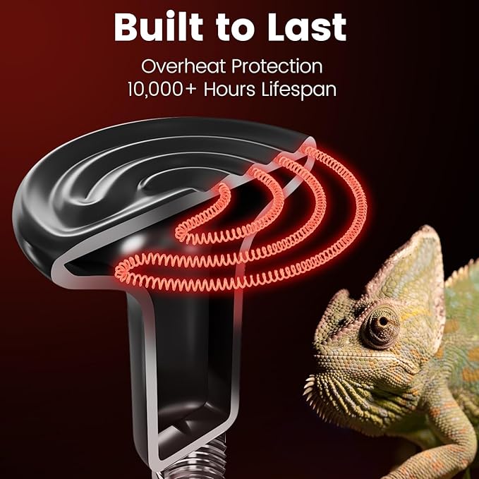 Dual Reptile Light Fixture with 100W Daytime Heat Bulb & 100W Nighttime Ceramic Heat Emitter, 2 Independent Switches, Reptile Heat Lamp Combo Pack - No UVB