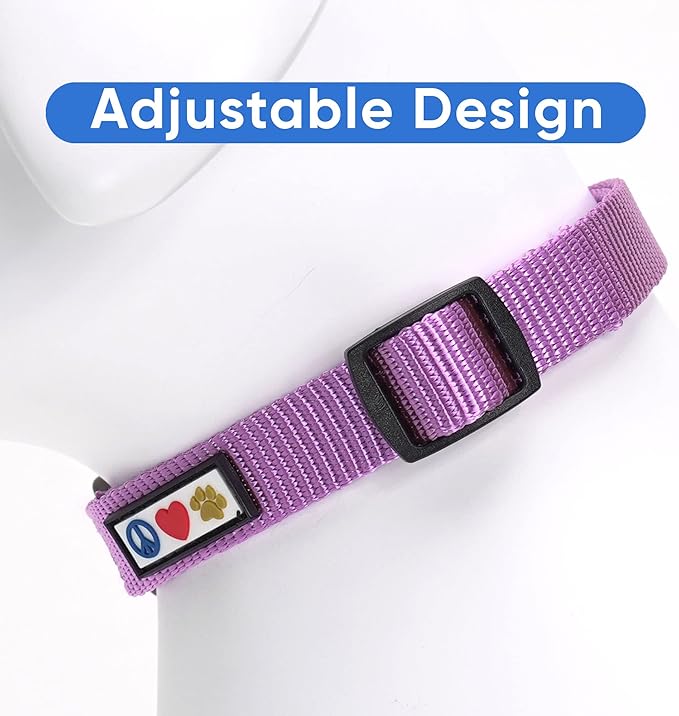 Pawtitas Adjustable Dog Collar - Heavy Duty, Waterproof, Quick-Release Buckle - Orchid, Small Breed