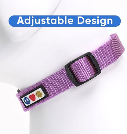 Pawtitas Adjustable Dog Collar - Heavy Duty, Waterproof, Quick-Release Buckle - Orchid, Small Breed