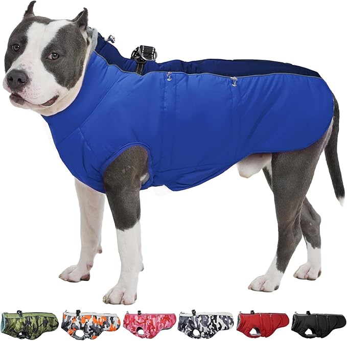 Winter Dog Coat - Zip Up Snowsuit Jacket, Reflective & Water-Resistant, Large (3X), Royal-Blue