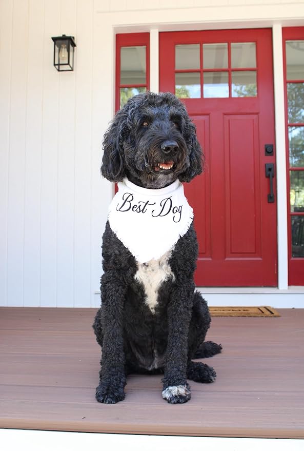 Two Tails Best Dog Wedding Dog Bandana, Tie-on Pet Scarf for Boy or Girl Dogs and Puppies, Wedding Dog Accessories, Engagement Gift, or Photo Prop, Breathable Linen and Viscose Fabric, Size Large