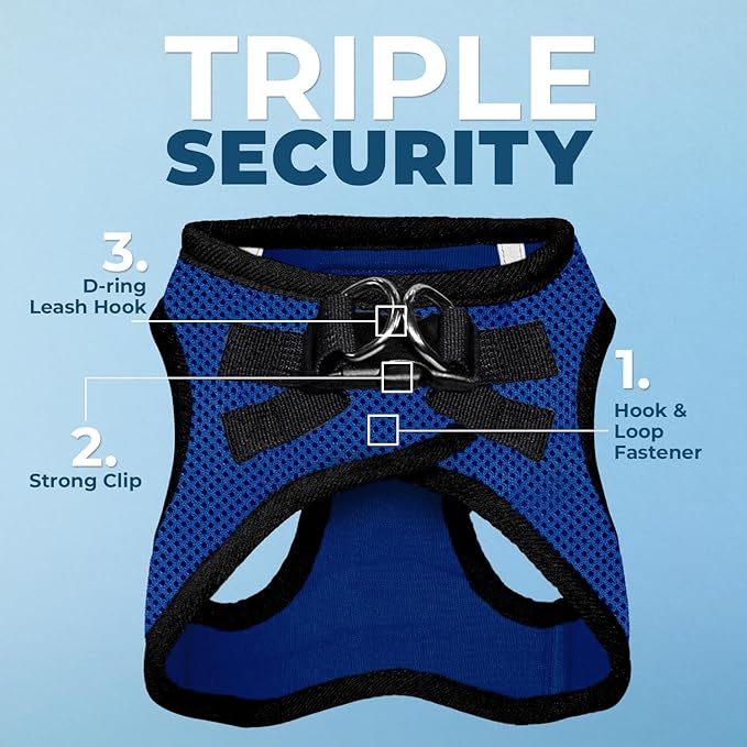 Voyager Step-in Air All Weather Mesh Harness and Reflective Dog 5 ft Leash Combo with Neoprene Handle, for Small, Medium and Large Breed Puppies by Best Pet Supplies - Royal Blue/Black Trim, X-Small