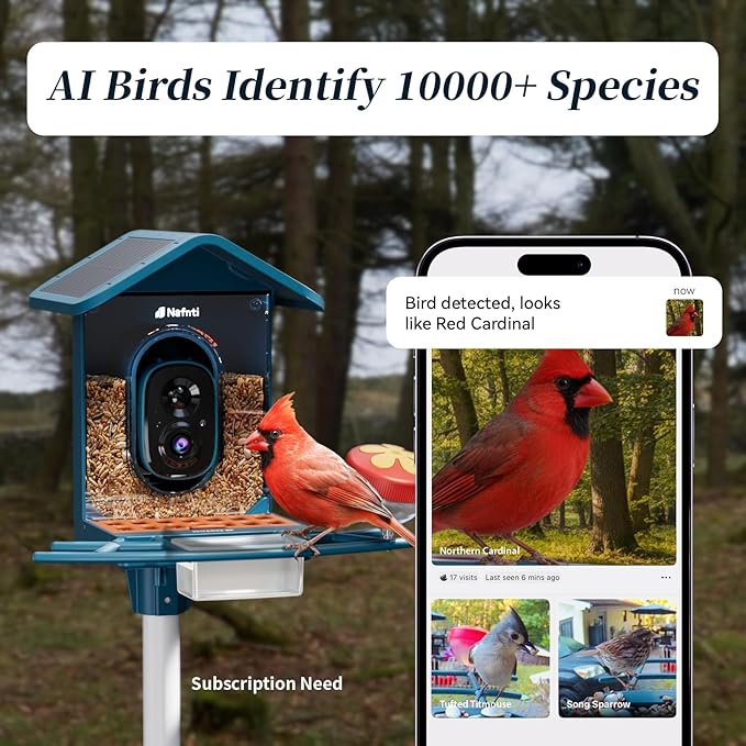 Smart Bird Feeder with Camera, AI Identify Birds, 2.4GHz/5GHz, Solar Powered, Squirrel Proof, Instant Notifications, 2K Live View Camera Bird Feeder for Outdoor
