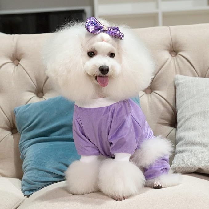 CuteBone Trend Letters Dog Pajamas Clothes Soft Puppy Pjs for Small Dogs P246L I give Free Kisses