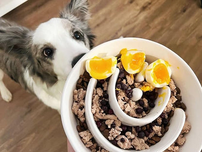 Slow Feeder Dog Bowl, 3 Cups Ceramic Maze Dog Food Bowl for Medium/Large Dogs – Non-Slip White Pet Dish, Cute Puzzle Design to Slow Fast Eaters