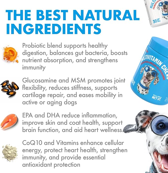 LEGITPET Dog Vitamins - 30 Multivitamins Chews w/Glucosamine Chondroitin, Probiotics Digestive Enzymes and Omegas - Supplement for Overall Health - Joint Support, Immune Health, Skin and Heart Health