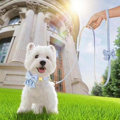 Dog Collar and Leash Set - Metal Buckle Adjustable Puppy Collar, Cute Dog Collar and Leash Set with Flower Bow Tie, Puppy Collar with 5 FT Leash, Soft & Comfortable Collar for Small Medium Dogs-M