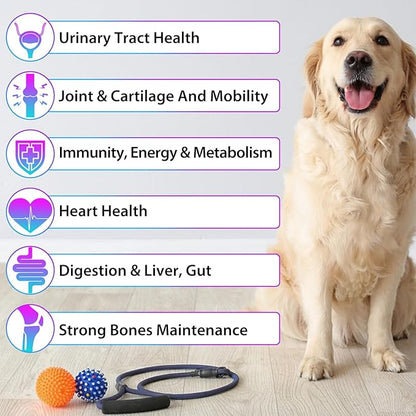 Dog Multivitamin, 15 in 1 Dog Multivitamin Liquid Drops Supplements for Skin & Coat, Heart Health, Bones and Joint, Dogs Vitamins with Glucosamine and MSM, Immune System Support -60ml