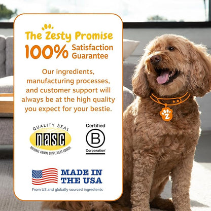 Zesty Paws Probiotics for Dogs, Digestive Enzymes Gut Flora, Digestive Health, Diarrhea & Bowel Support, DE111, Dog Probiotics Soft Chew for Pet Immune System, Chicken, 50 Ct