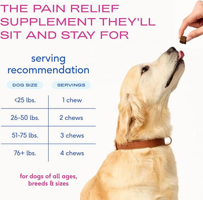Native Pet Pain Relief for Dogs - Collagen for Dogs Promotes Joint Health, Reduce Inflammation & Stiffness - Senior Pup Joint Supplement - Natural Pain Reliever for Active & Aging Pets - 60 Chews