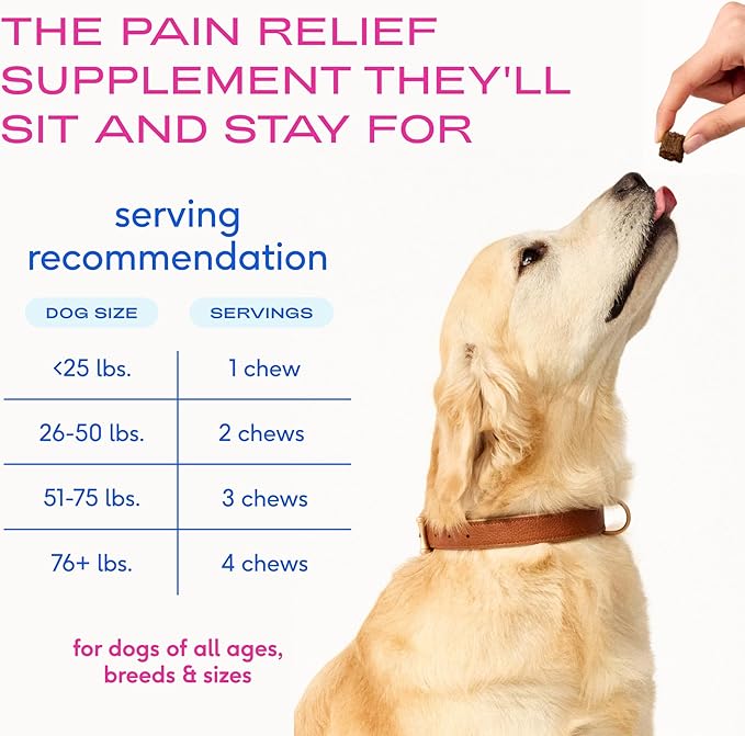 Native Pet Pain Relief for Dogs - Collagen for Dogs Promotes Joint Health, Reduce Inflammation & Stiffness - Senior Pup Joint Supplement - Natural Pain Reliever for Active & Aging Pets - 30 Chews
