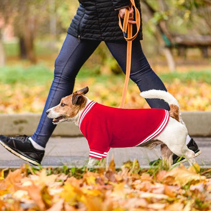 Dog Sweater Brushed Fleece Baseball Jacket Soft Warm Pet Sweatshirt Dog Sweaters for Small Dogs Puppy Sweater Boy Girl Pet(Red-XS)