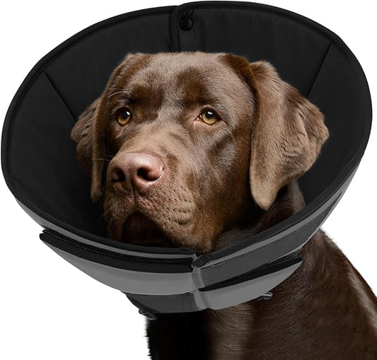 Queenmore Dog Cones for Large Dogs, Soft Dog Cone for Large Breeds, Cone for Dogs After Surgery, Adjustable Elizabethan Collar for Pet to Prevent Licking Wounds, Grey L