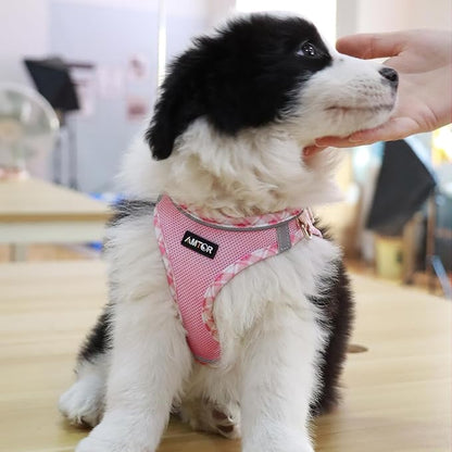 AMTOR Small Dog Harness with Leash Set, No Escape Easy Walk Puppy Harnesses for Training Walking, Step-in Reflective Soft Dogs Vest for XS S Medium Extra-Small Large Sized Dog(XL Size,Pink/White)