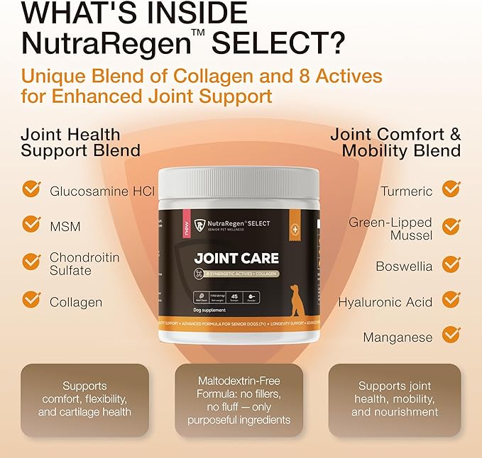 Select Senior Dog Joint Supplement 45 Servings | Natural Glucosamine Chondroitin for Dogs with Collagen | Hip and Joint Powder | 7.7 Oz