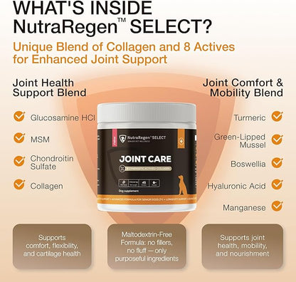 Select Senior Dog Joint Supplement 45 Servings | Natural Glucosamine Chondroitin for Dogs with Collagen | Hip and Joint Powder | 7.7 Oz