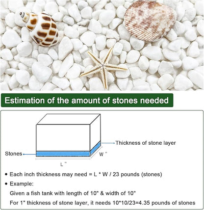 BXI 2.2 Lbs Small Aquarium Substrate Gravel Sand, Polished Smooth Fish Tank Gravel, Colorfast Uncoated White Natural Pebbles, Decorative Stones for Vase Fillers, Fairy Garden, Potted Plants