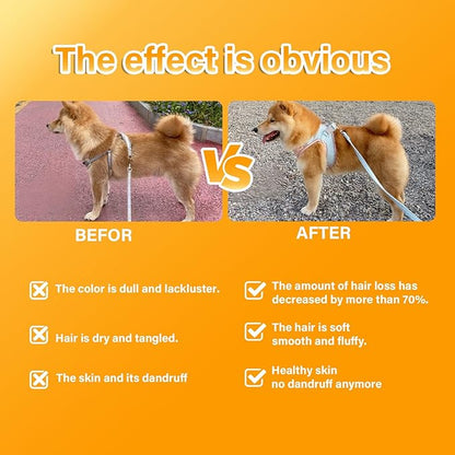 Skin & Coat Supplement for Dogs - Allergy Relief Chews with Omega 3, 9 & Vitamin E, Itchy Skin Treatment, Beef Flavor Soft Chews (120 Count) (Beef)