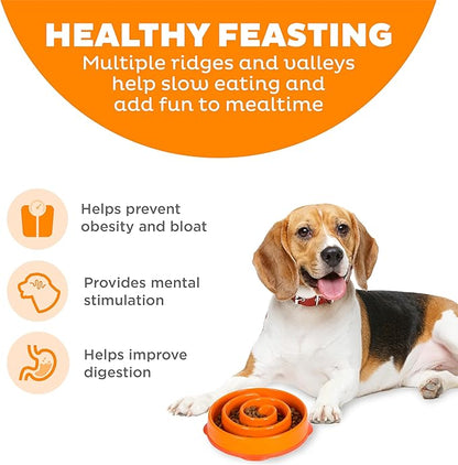 Outward Hound Medium Slow Feeder Bowl, Puzzle Maze for Fast Eaters, Small to Medium Dogs, Helps Prevent Bloat & Aid Digestion, Holds 2 Cups Wet or Dry Food, Non-Slip, Made Without BPA, Orange