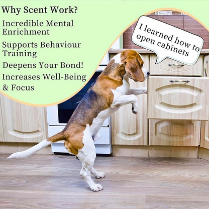 BabieDtOyG Dog Scent Training kit, Brain Games, Hide and Seek Toys - Fun Nose Work Games, Sniff and Seek Sniffing Toys, Nosework Kit, Scent Work Kit for All Ages Dog (Green)