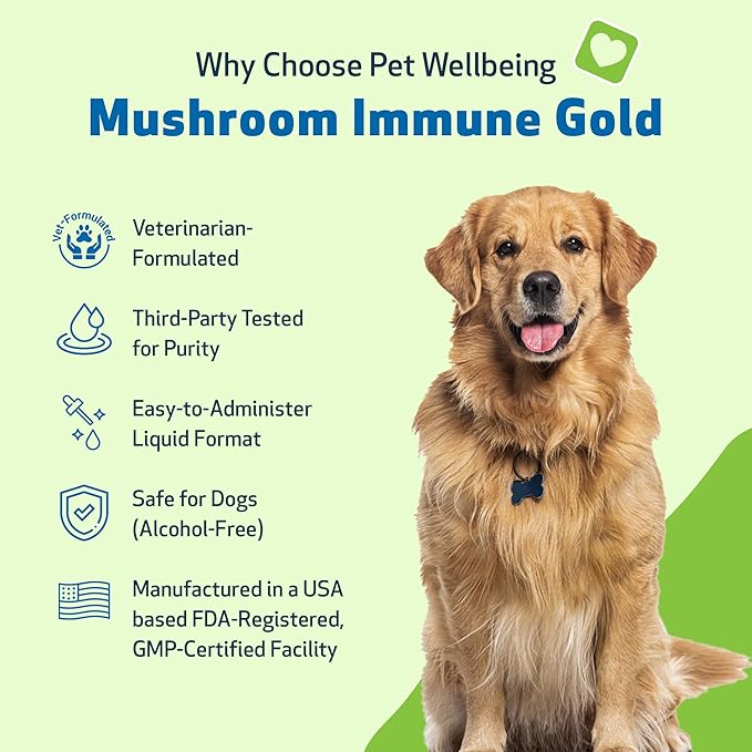 Pet Wellbeing Mushroom Immune Gold for Dogs - Vet-Formulated - Complementary Immune Support with Reishi, Maitake, Turkey Tail - Functional Mushroom Supplement 8 oz (237 ml)