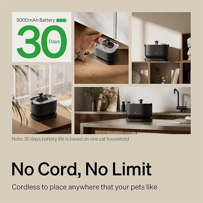 Bundle of PETLIBRO Cat Water Fountain, Cordless Pet Water Fountain Battery Operated+8 Packs Replacement Filters for Dockstream Cat Water Fountain WF005 WF115 WF105, 4 Months Set of Replacement Filters