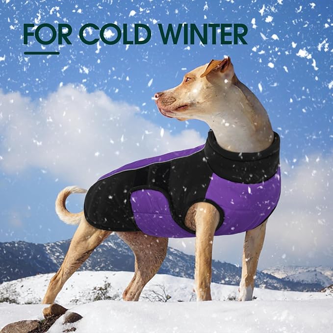 Kuoser Large Dog Coat, Winter Waterproof Dog Jackets for Large Dogs, Reflective Doggie Vest with Leash Hole, Cold Weather Coats Pet Snow Jacket for Labrador Beagle, Purple XXL