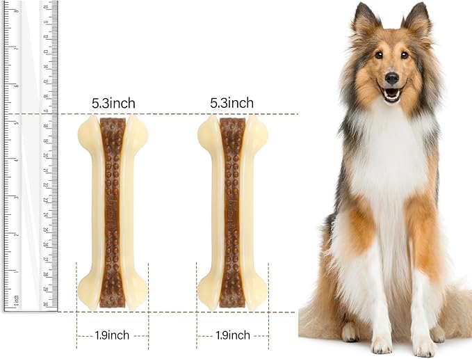 Dog Bones for Aggressive Chewers, 2 Pack Real Beef Flavor Puppy Teething Toys for Medium/Small Breeds, Nylon Durable Dog Chew Toys