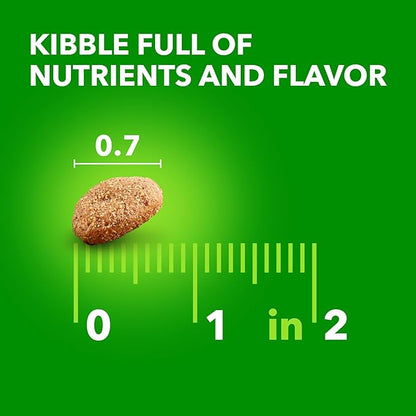 IAMS Proactive Health Healthy Aging Large Breed Dog Food for Mature and Senior Dogs with Real Chicken, 15 lb. Bag